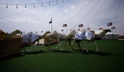 The Resurrection Quest - Life