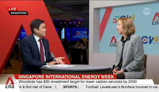 Woodside Energy CEO on LNG outlook and green transition plans