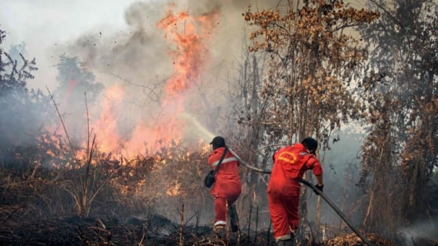 印尼西苏门答腊干旱导致火点激增 两地宣布紧急状态