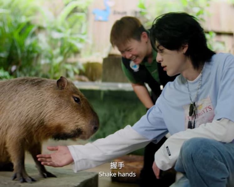 From capybara to basketball: Chinese actor-singer Dylan Wang promotes Singapore in STB video series