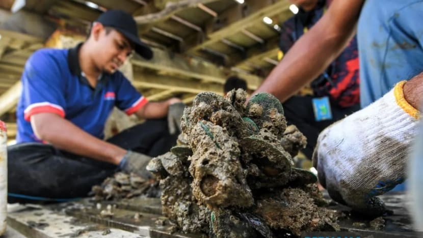 Kerajaan Negeri Sembilan teliti kesan kupang tercemar terhadap pengusaha, nelayan Kerajaan Negeri Sembilan teliti kesan kupang tercemar terhadap pengusaha, nelayan