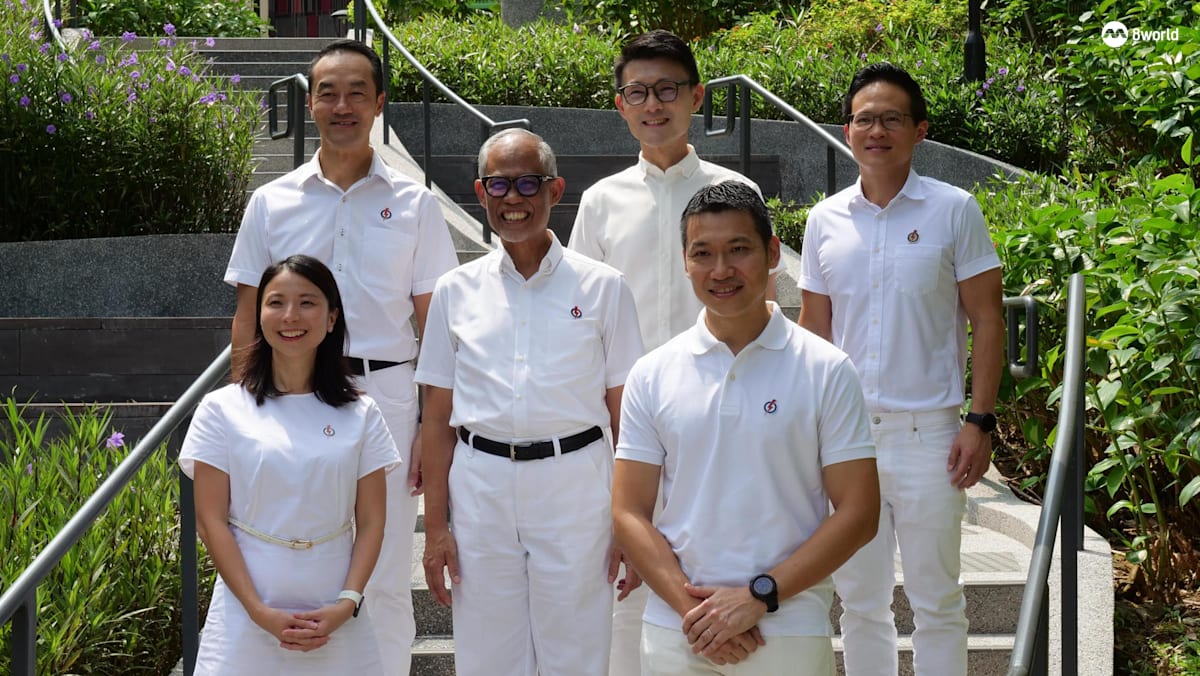 马善高领军捍卫淡滨尼集选区 两新人包括前陆军总长梁振伟 - 8world