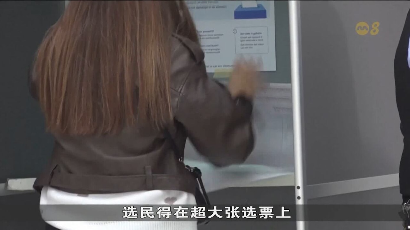 荷兰议会选举结束六六民主党和极右翼政党势均力敌- 8world