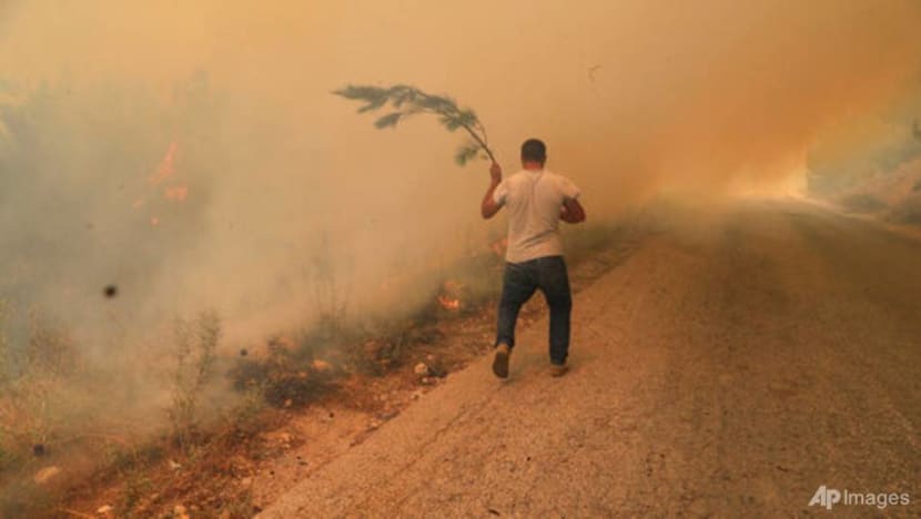 Wildfire rages for 2nd day in Lebanon, spreads to Syria