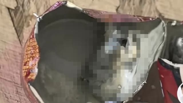 旺仔牛奶被指含异物 山东旺旺集团：初步判断非老鼠