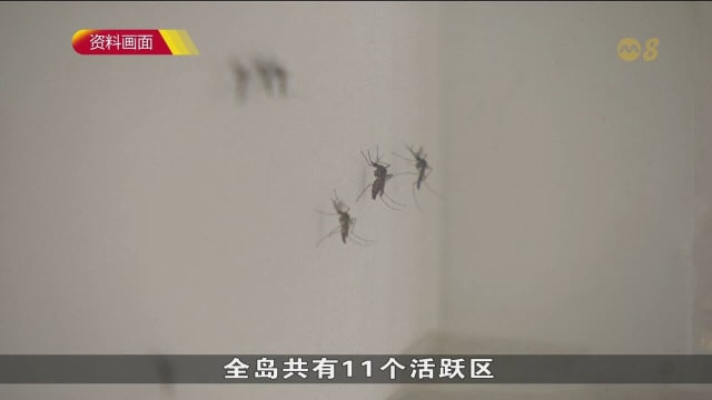 本地单周骨痛热症病例回落到近半年多来最低水平