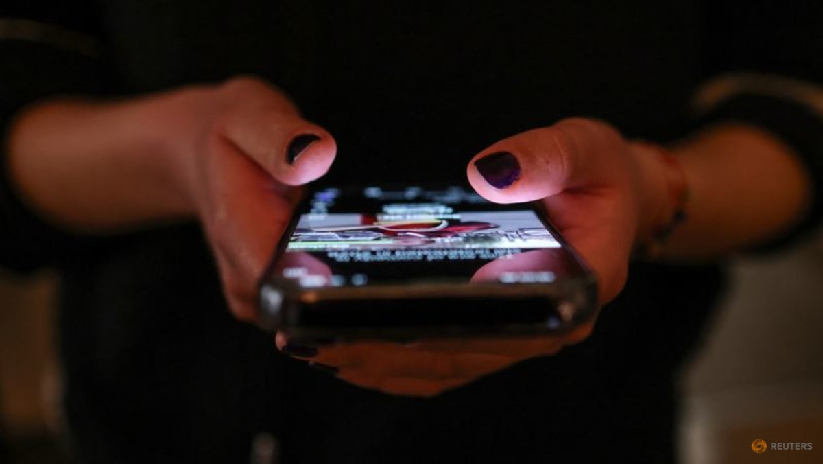 Don't ban children from social media, Estonia tells EU