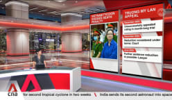 Vietnamese property tycoon escapes death penalty for US$27b fraud after law changes 
