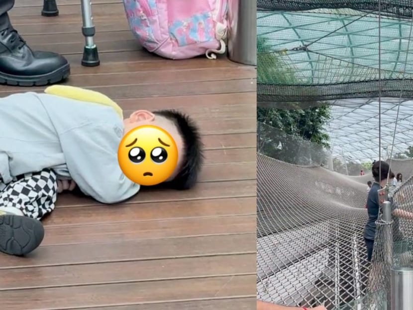 3-year-old boy lies heartbroken on floor of Jewel because he doesn’t hit height requirement for walking net, wins internet over 3-year-old boy lies heartbroken on floor of Jewel because he doesn’t hit height requirement for walking net, wins internet over