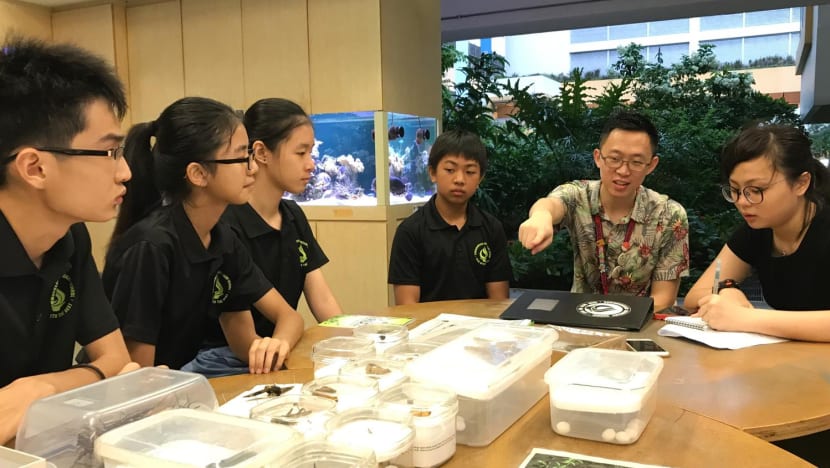 Environmental champions lauded for efforts, inspiring others to go green