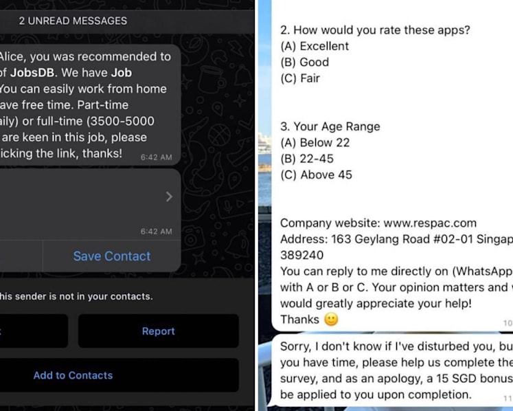 About S$20 million lost to job scams since May: Police