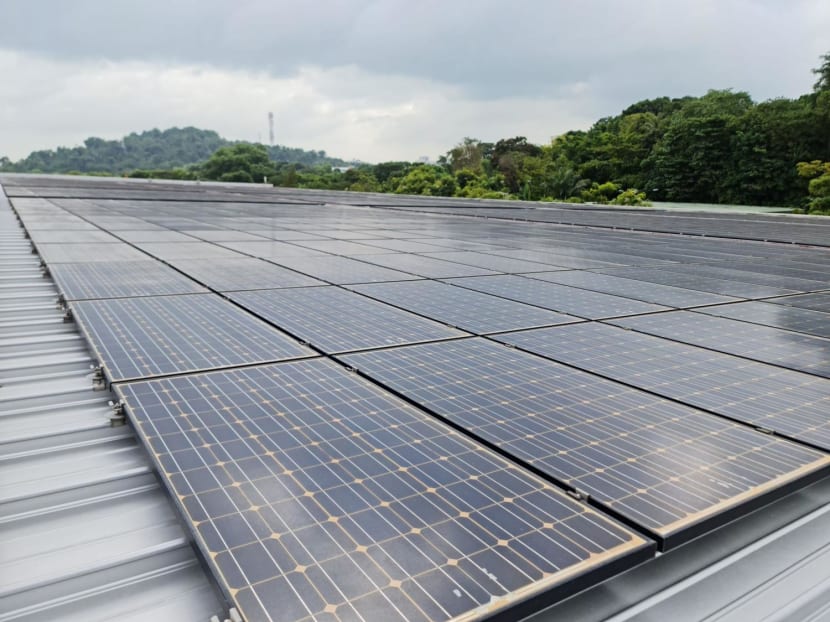 Sentosa, RWS to install solar panels at 18 locations as part of carbon neutrality efforts