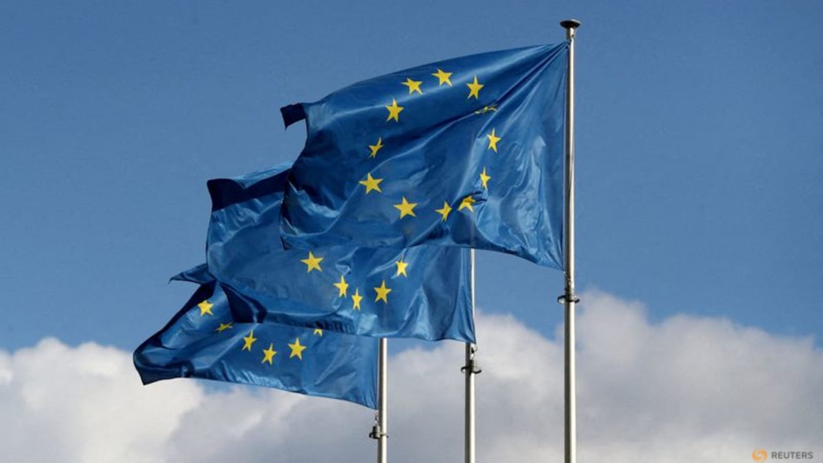 Facing Trump and Musk, EU lawmakers seek sure footing Facing Trump and Musk, EU lawmakers seek sure footing