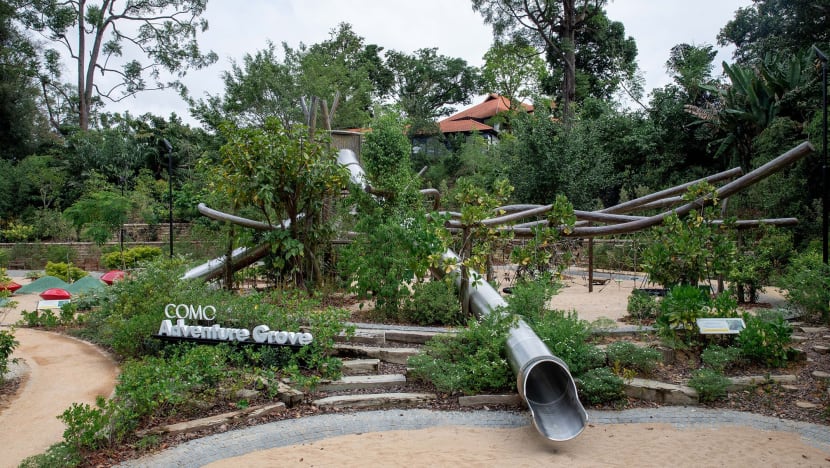 Nature-inspired playground, Botanical Art Gallery among latest additions to open at Singapore Botanic Gardens