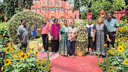 Related article image