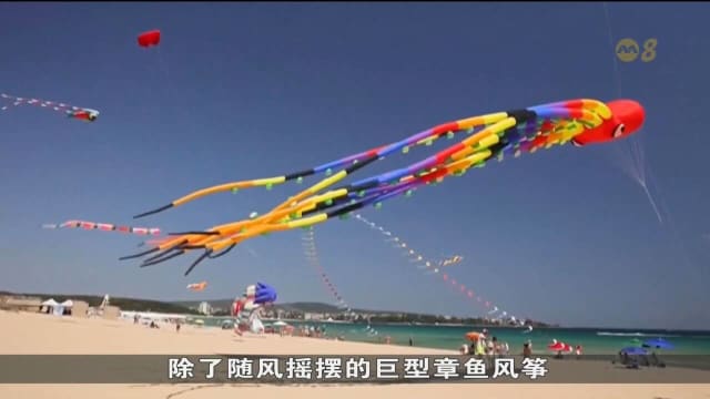 保加利亚举办风筝节 以提高候鸟保育意识