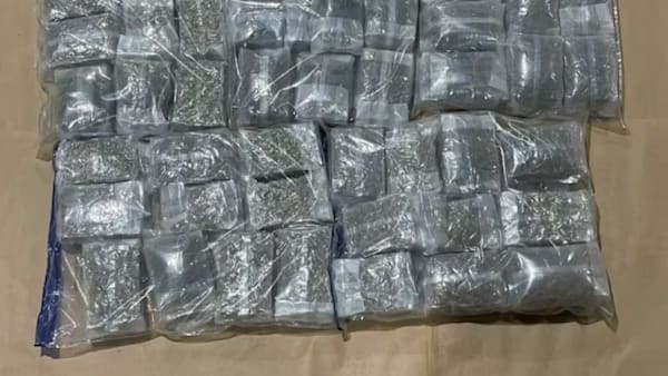 Lebih 390kg ganja dikesan dalam kontena di Stesen Imbasan Pasir Panjang