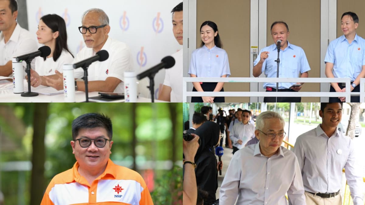 GE2025: Tampines GRC sees four-way fight between PAP, WP, NSP and PPP