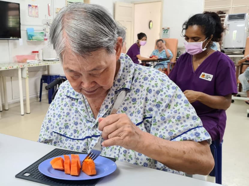 IN FOCUS: Amid a rapidly ageing population, what are the missing pieces in Singapore&rsquo;s residential eldercare puzzle?