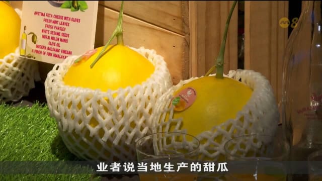 马国东海岸登嘉楼州蜜瓜种植计划取得成效 并吸引更多年轻人加入农业生产