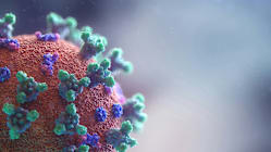 Related article image