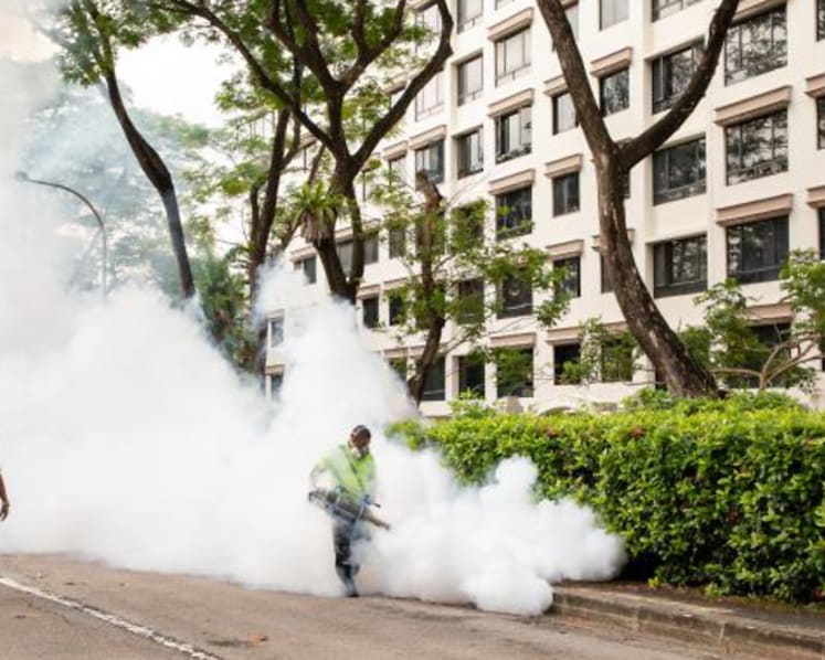 More dengue cases expected in 2022; continued work-from-home arrangements a factor: NEA