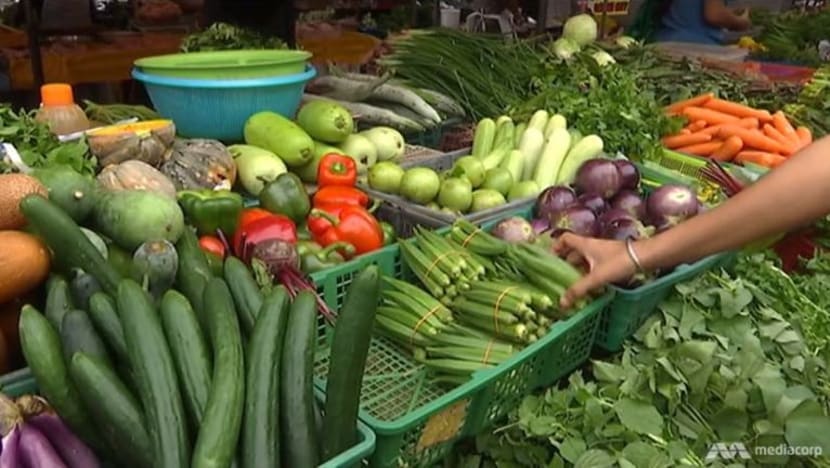 Diet berasaskan tumbuhan boleh bantu pulihkan bumi kita