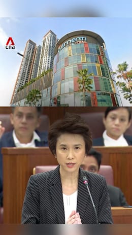 Senior Minister of State Low Yen Ling on acquisition of The Clementi Mall 