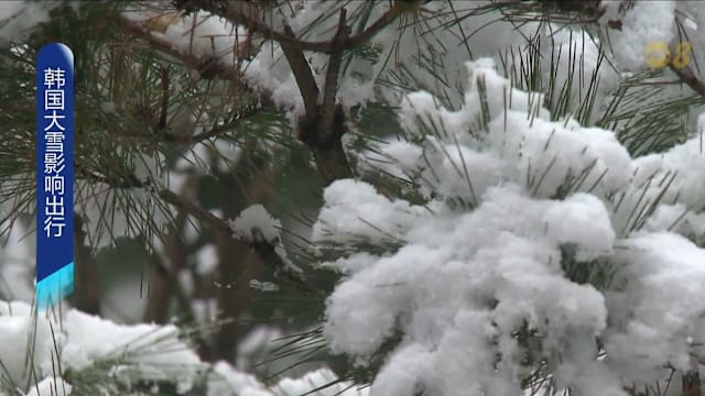 韩国多地凌晨下大雪 道路结冰高峰时段通勤受干扰