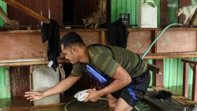 Mangsa banjir di Kelantan dayung perahu ke rumah setiap hari beri kucing makan Mangsa banjir di Kelantan dayung perahu ke rumah setiap hari beri kucing makan