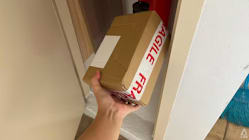 Related article image