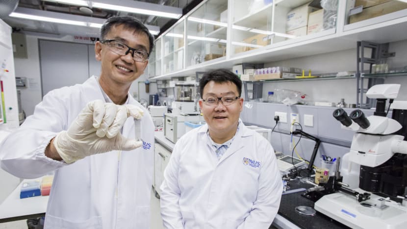 Scientists in Singapore help to discover new marine species