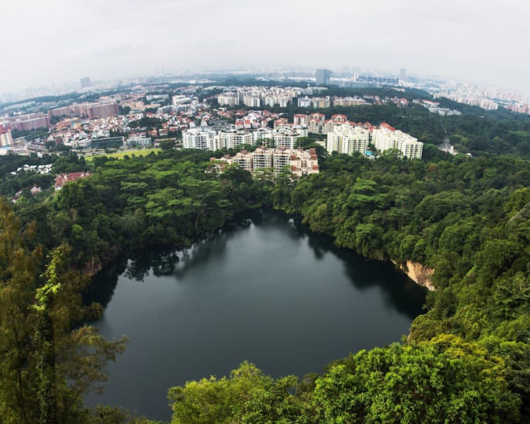 Singapore to host international rainforest competition in 2023 