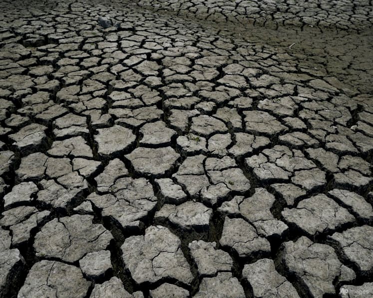 Commentary: COP28 - health is finally on the climate change agenda but there’s more to do