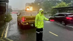 Related article image