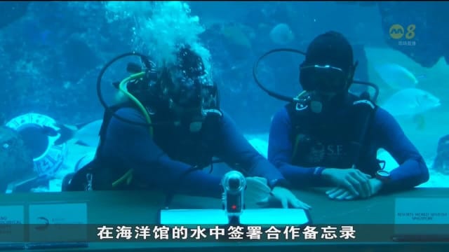 圣淘沙名胜世界同南大合作开展气候相关研究项目