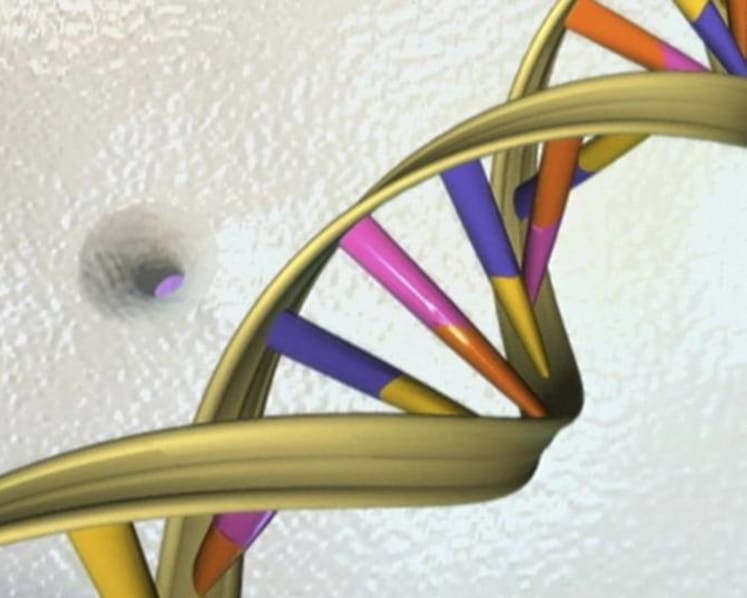 MOH to develop guidelines for firms that provide non-clinical genetic testing
