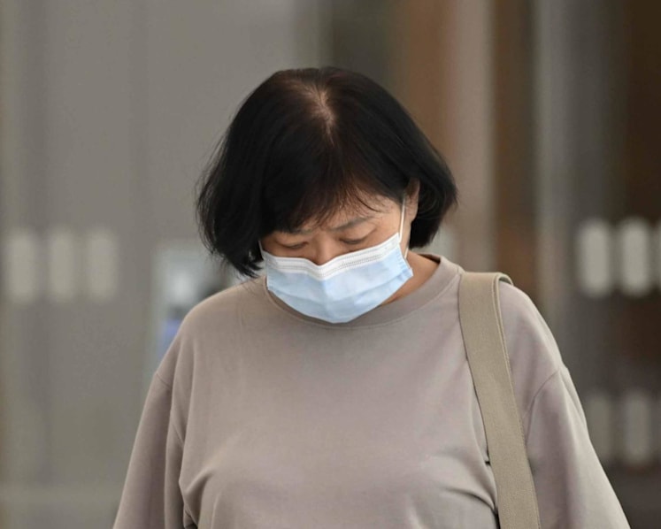 'Recalcitrant' woman fined S$9,000 for feeding pigeons 17 times after previous conviction
