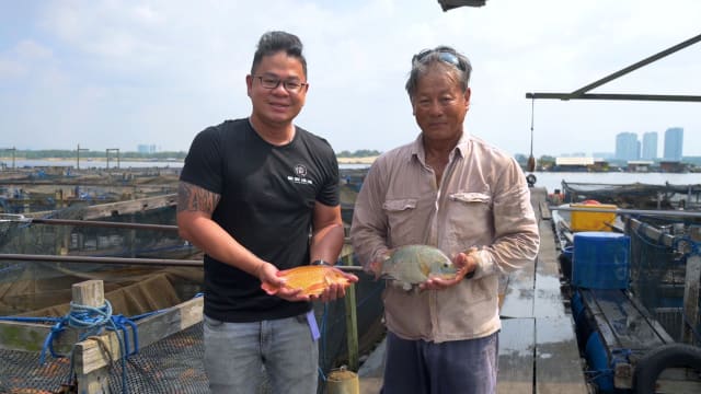 【食属新加坡】直击兴兴渔场　风浪中坚守初心、传承永续