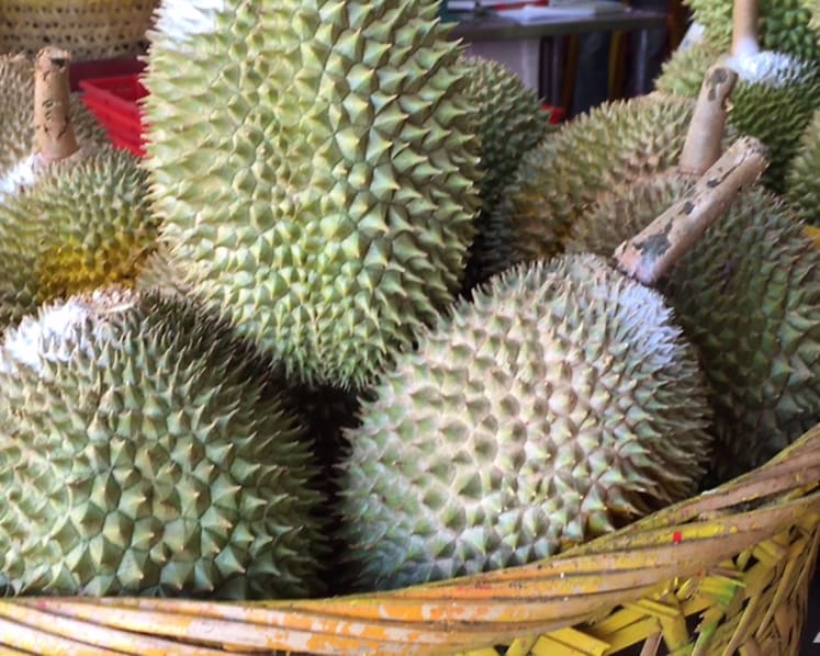 Man gets driving ban, fine for speeding while out buying durians with friend during circuit breaker