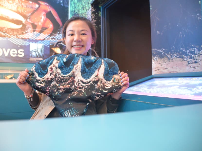 Gen Y Speaks: How I overcame hardship and self-doubt as a marine scientist, with some help from giant clams Gen Y Speaks: How I overcame hardship and self-doubt as a marine scientist, with some help from giant clams