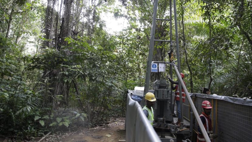 Govt will do ‘whatever it can’ to protect Central Catchment Nature Reserve: Lam Pin Min