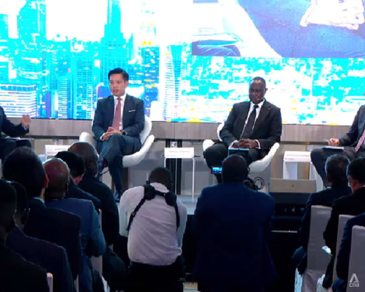 Singapore firms continuing to expand in Africa, expect high returns