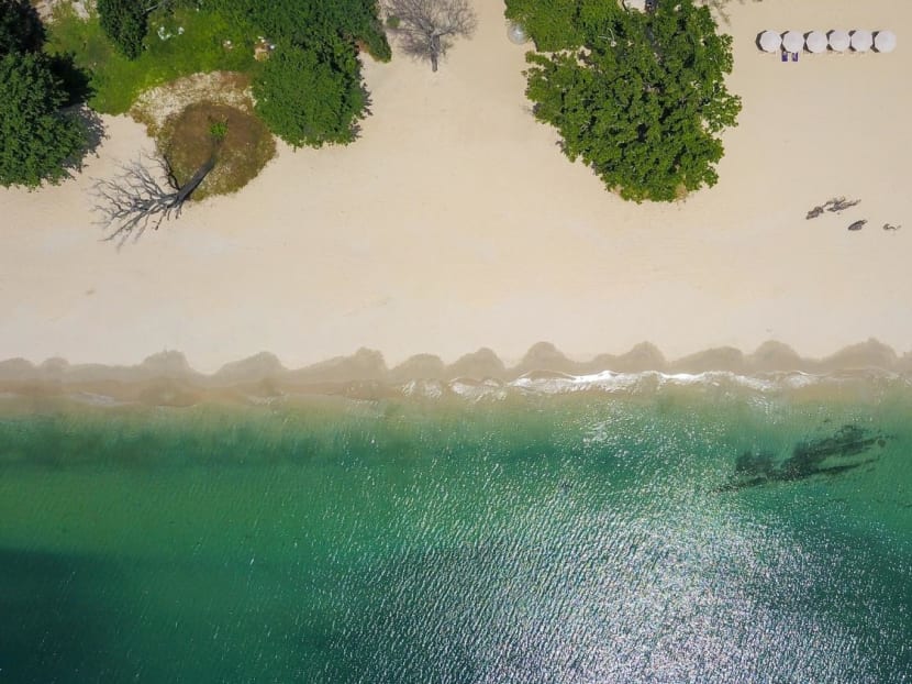 5 must-do activities on Desaru Coast to complete your sun-filled beach holiday: From ostriches to a waterpark