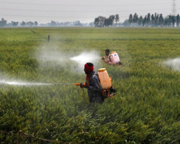 India's deepening water crisis at the heart of farm protests