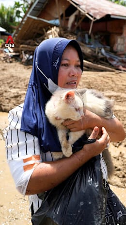 Cat rescued from collapsed house, reunited with owner after a week without food in Indonesia floods