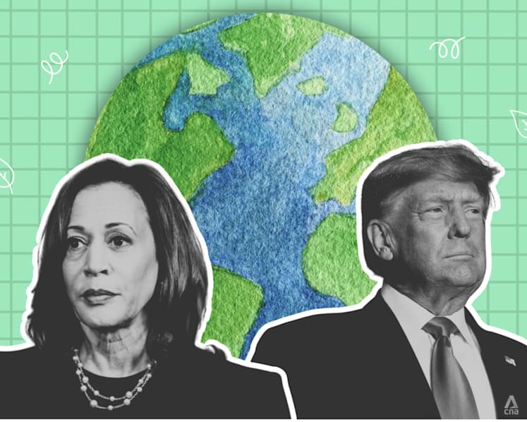 ‘The world is watching’: Why US election result could dictate global progress on climate action 
