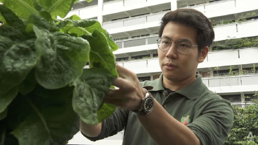 Singapore farms exploring new crops and shared logistics to stay competitive