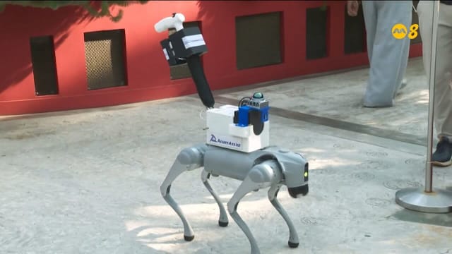 花穹第三季引入机器导盲犬 视障者可更自主参观