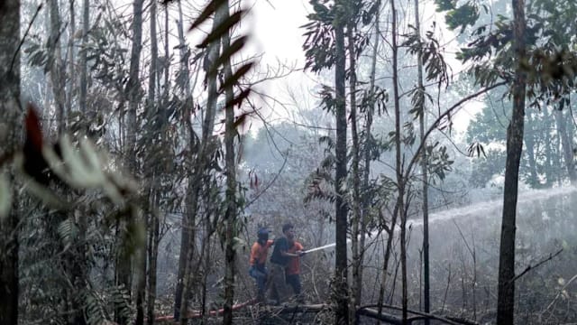 柔佛边佳兰泥炭地大火狂烧五天 明天将从空中灭火